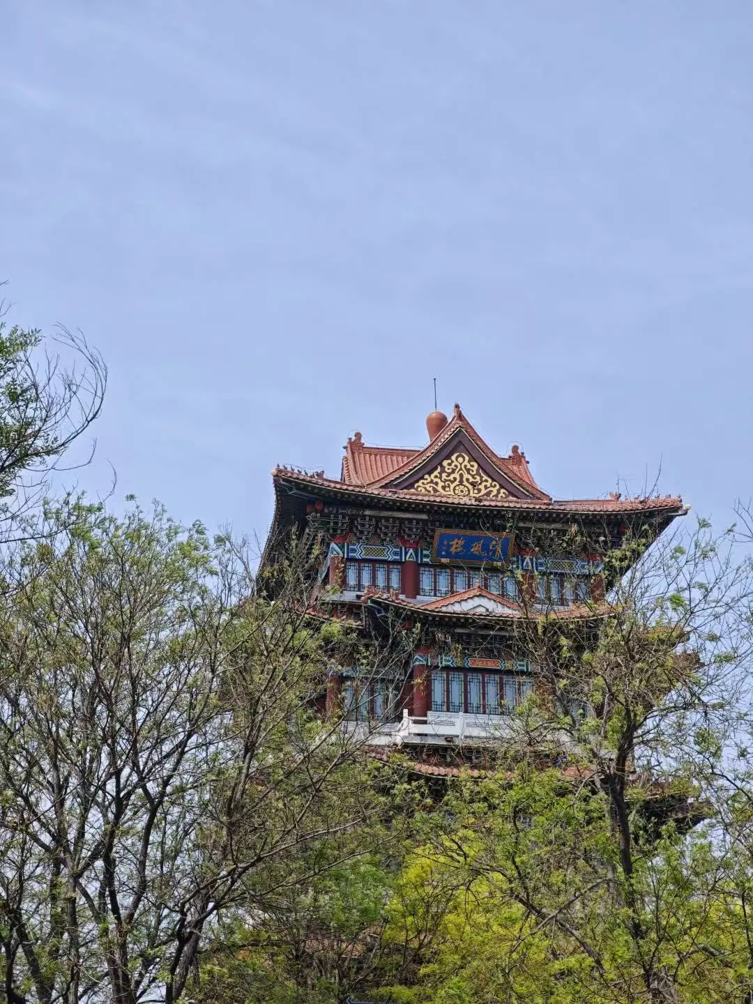 树木间露出的彩绘亭阁