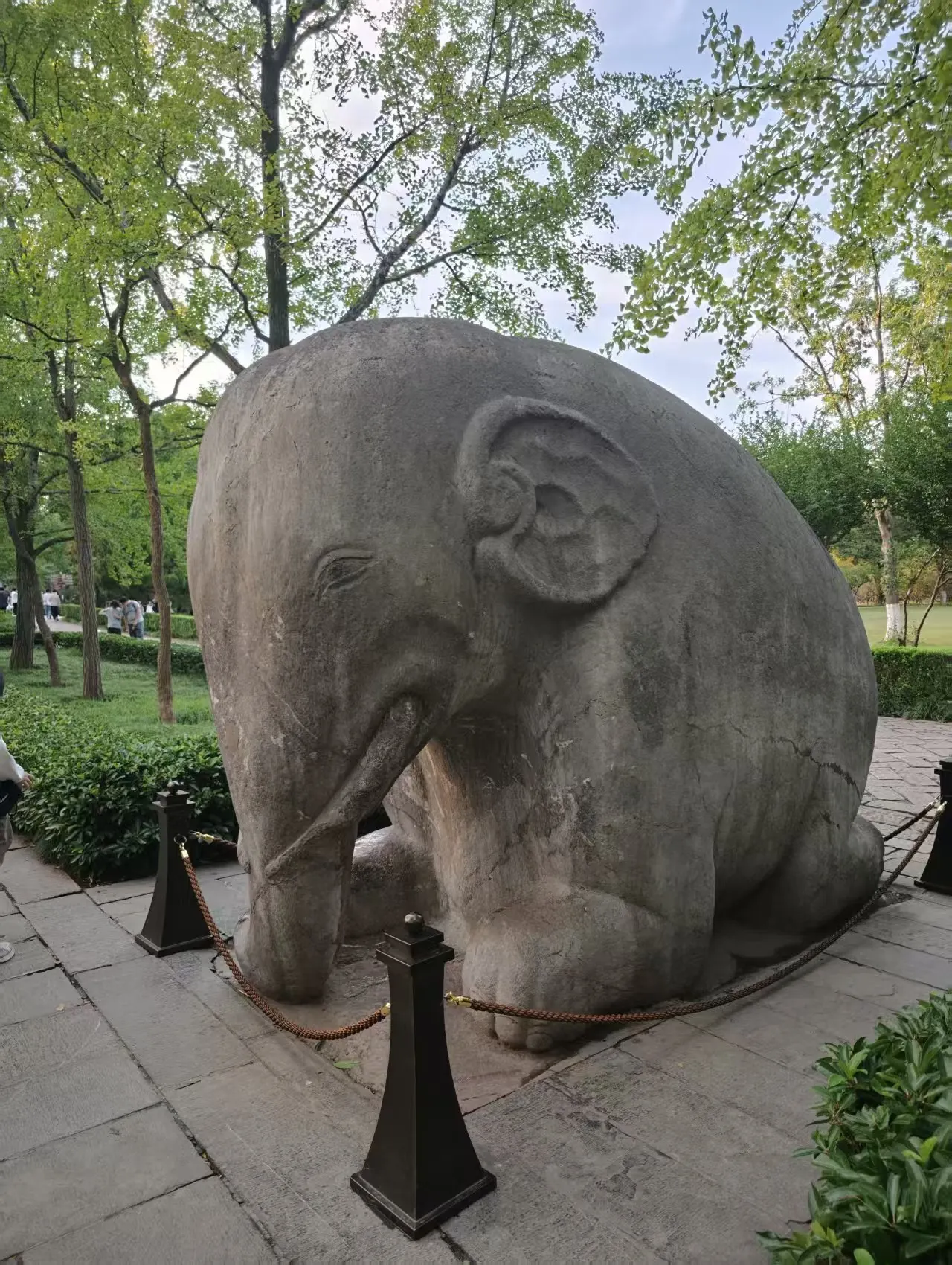 绿树间静立的石象