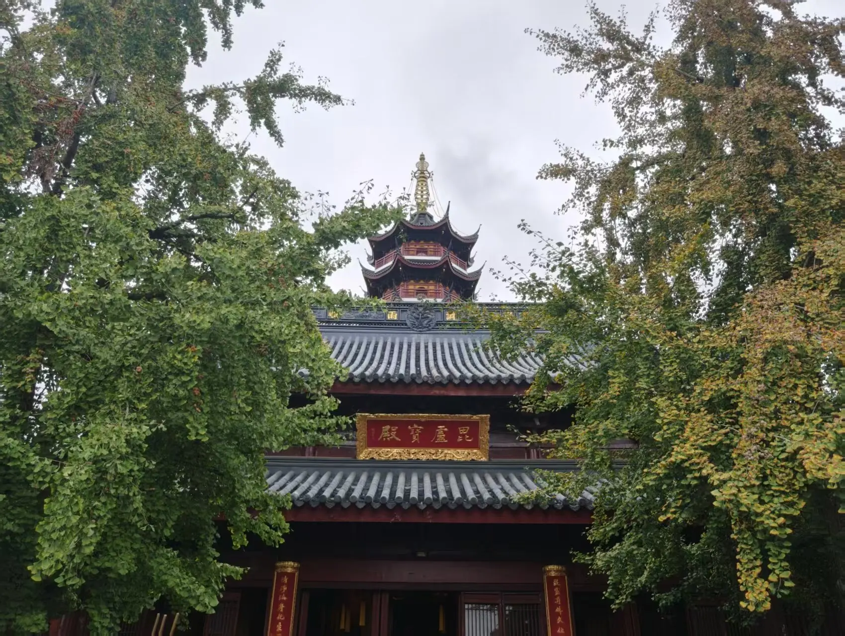 绿树掩映的寺院殿门与塔尖